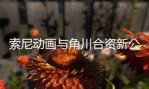 部名列动画电影 多资新作在公司公布规划与角发行川合索尼